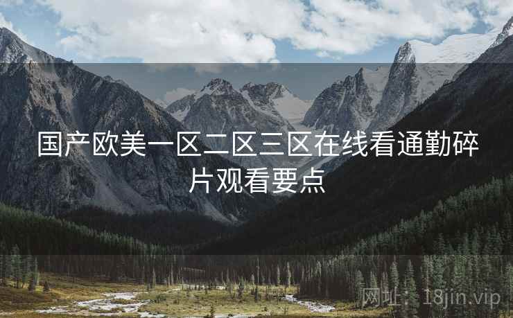 国产欧美一区二区三区在线看通勤碎片观看要点  第1张