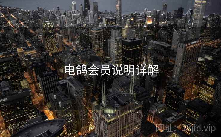 电鸽会员说明详解  第1张