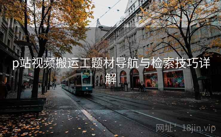 p站视频搬运工题材导航与检索技巧详解  第2张