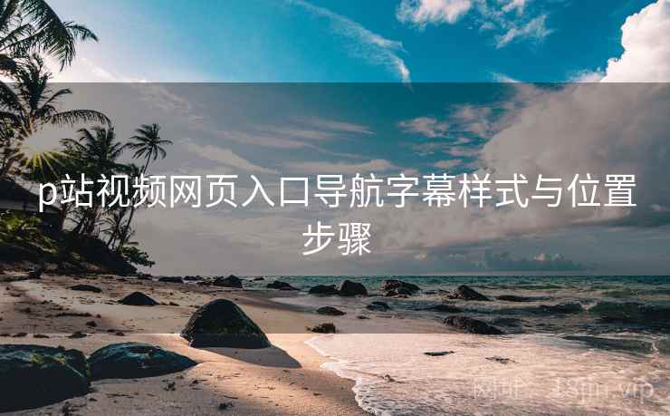 p站视频网页入口导航字幕样式与位置步骤  第2张