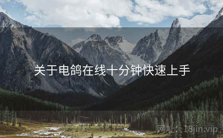 关于电鸽在线十分钟快速上手  第1张