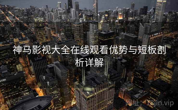神马影视大全在线观看优势与短板剖析详解  第2张
