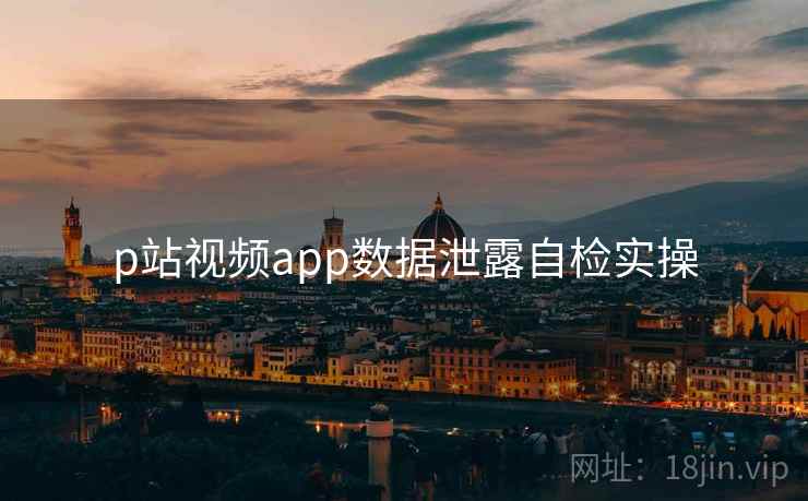 p站视频app数据泄露自检实操  第2张