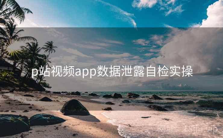 p站视频app数据泄露自检实操  第1张