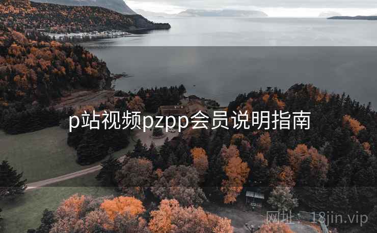 p站视频pzpp会员说明指南  第1张
