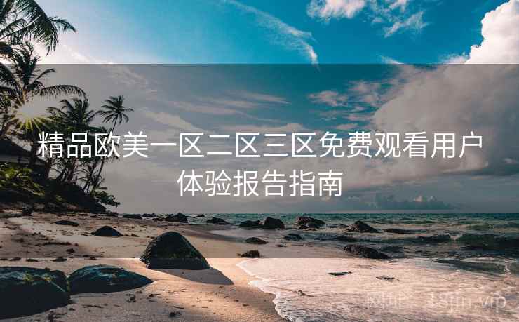 精品欧美一区二区三区免费观看用户体验报告指南  第1张