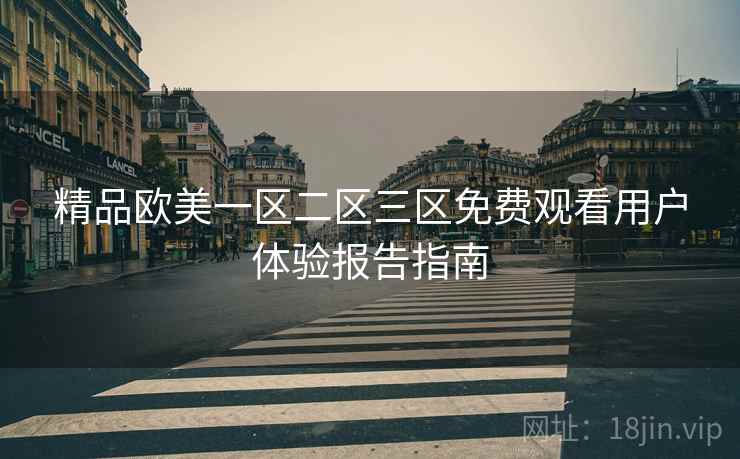 精品欧美一区二区三区免费观看用户体验报告指南  第2张