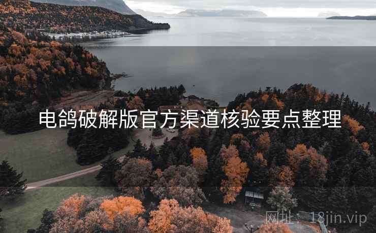 电鸽破解版官方渠道核验要点整理  第1张