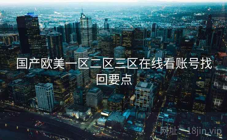 国产欧美一区二区三区在线看账号找回要点  第1张