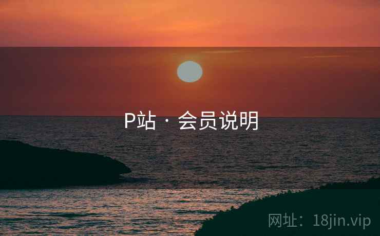 P站 · 会员说明  第2张