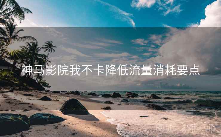 神马影院我不卡降低流量消耗要点  第2张