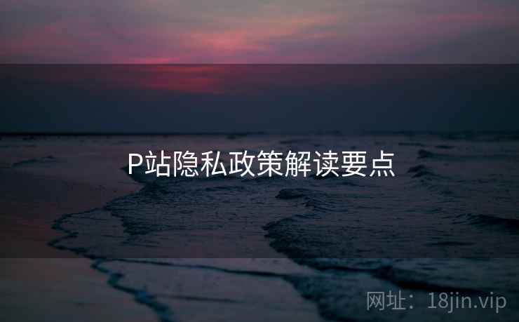 P站隐私政策解读要点  第1张