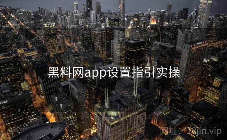 黑料网app设置指引实操  第1张